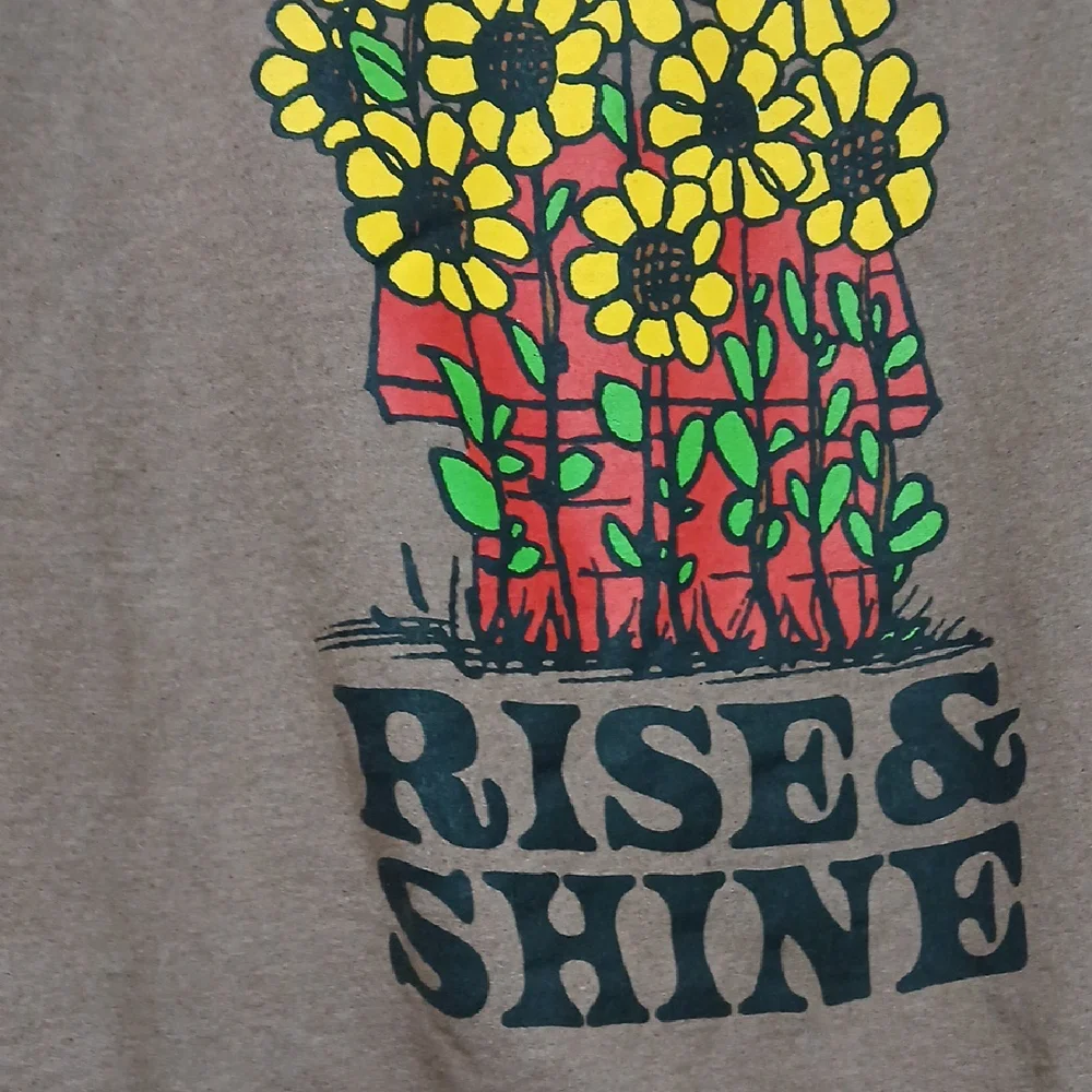 Peanuts Brown Hoodie with Woodstock Graphic - Picture 2 of 6